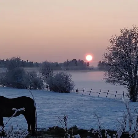 Villa Rauhallinen Talo Maaseudulla 9km Seinajoelta Seinajoki