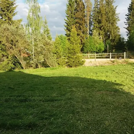 Villa Rauhallinen Talo Maaseudulla 9km Seinajoelta Seinajoki